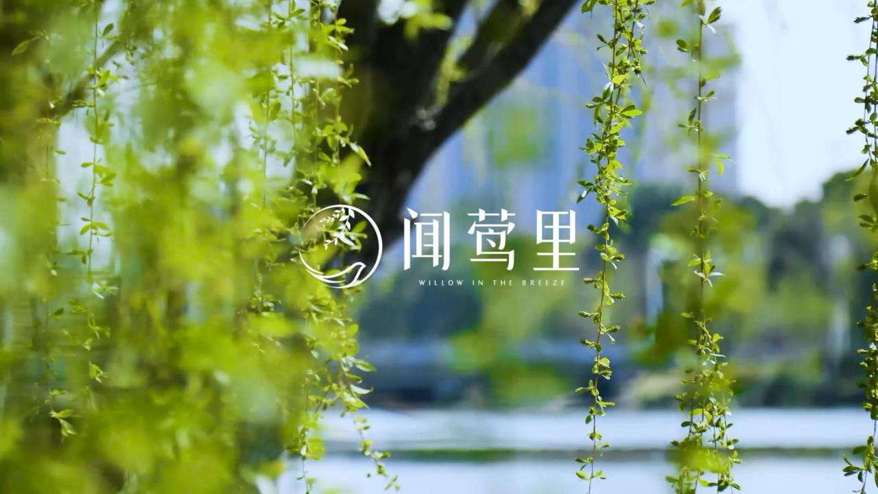 ƶ(й)ٷվ